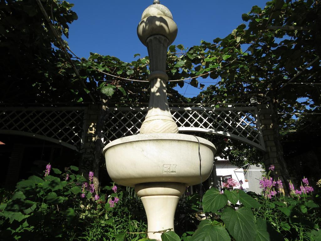 Art Villa Ines زادار المظهر الخارجي الصورة